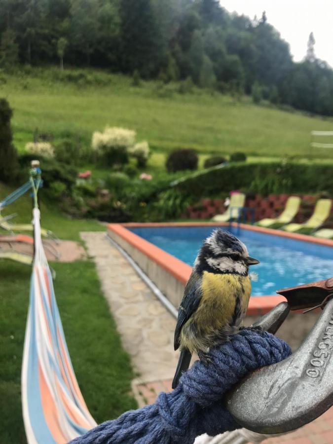 Kadłubek Villa Wisla Bagian luar foto