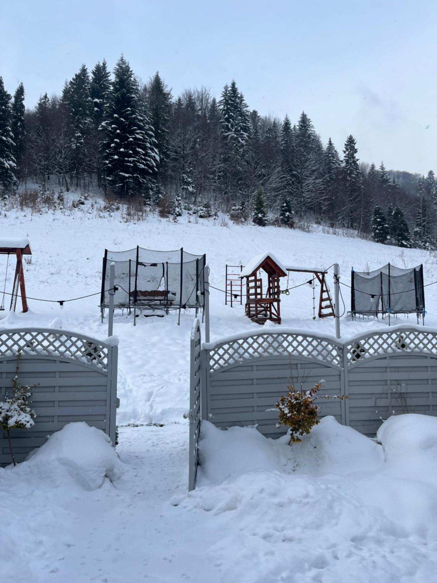 Kadłubek Villa Wisla Bagian luar foto